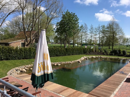 Outdoor pool, sun loungers