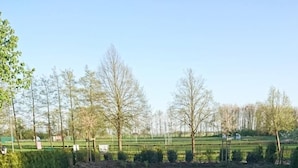 Une piscine rectangulaire avec une terrasse en bois au premier plan et une zone herbeuse avec des arbres en arrière-plan.