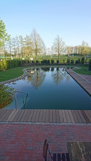 Outdoor pool, sun loungers