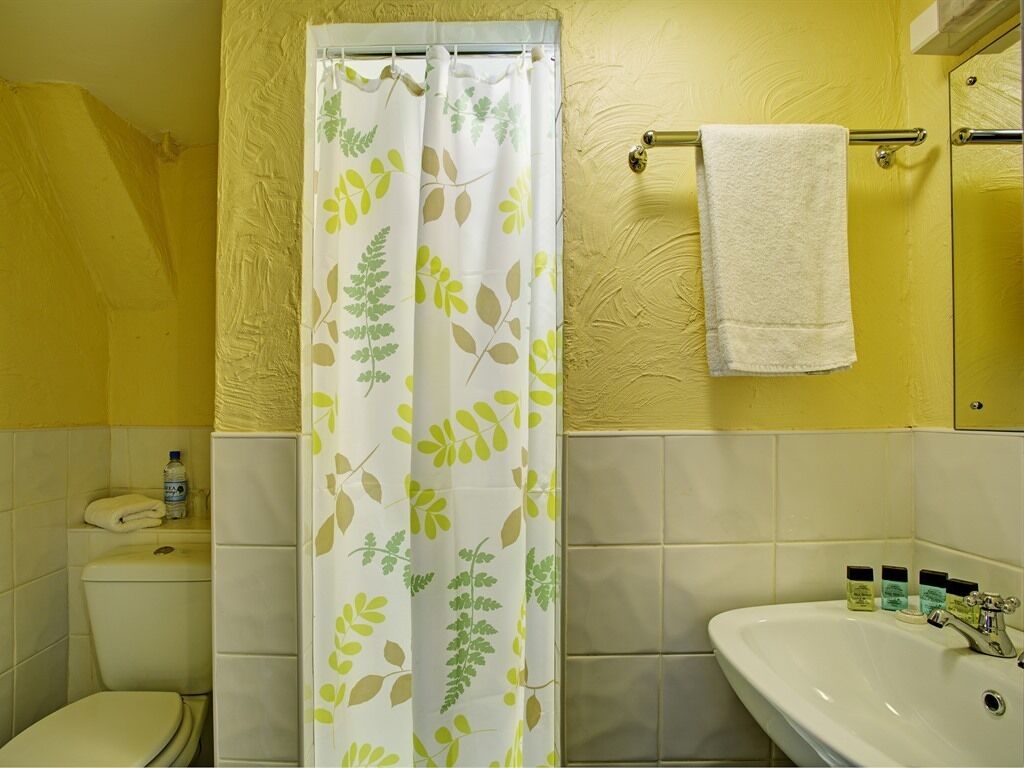 A bathroom with a toilet, sink, and shower curtain with a leaf pattern.