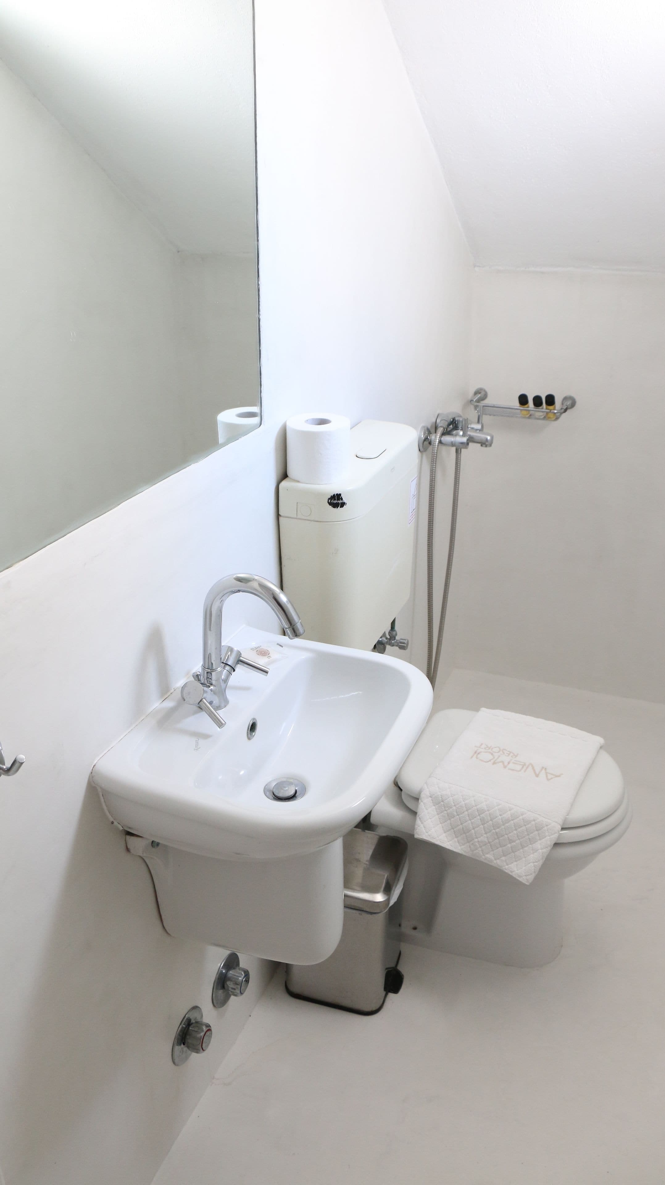executive suite | bathroom | shower, rainfall showerhead, free toiletries, hair dryer