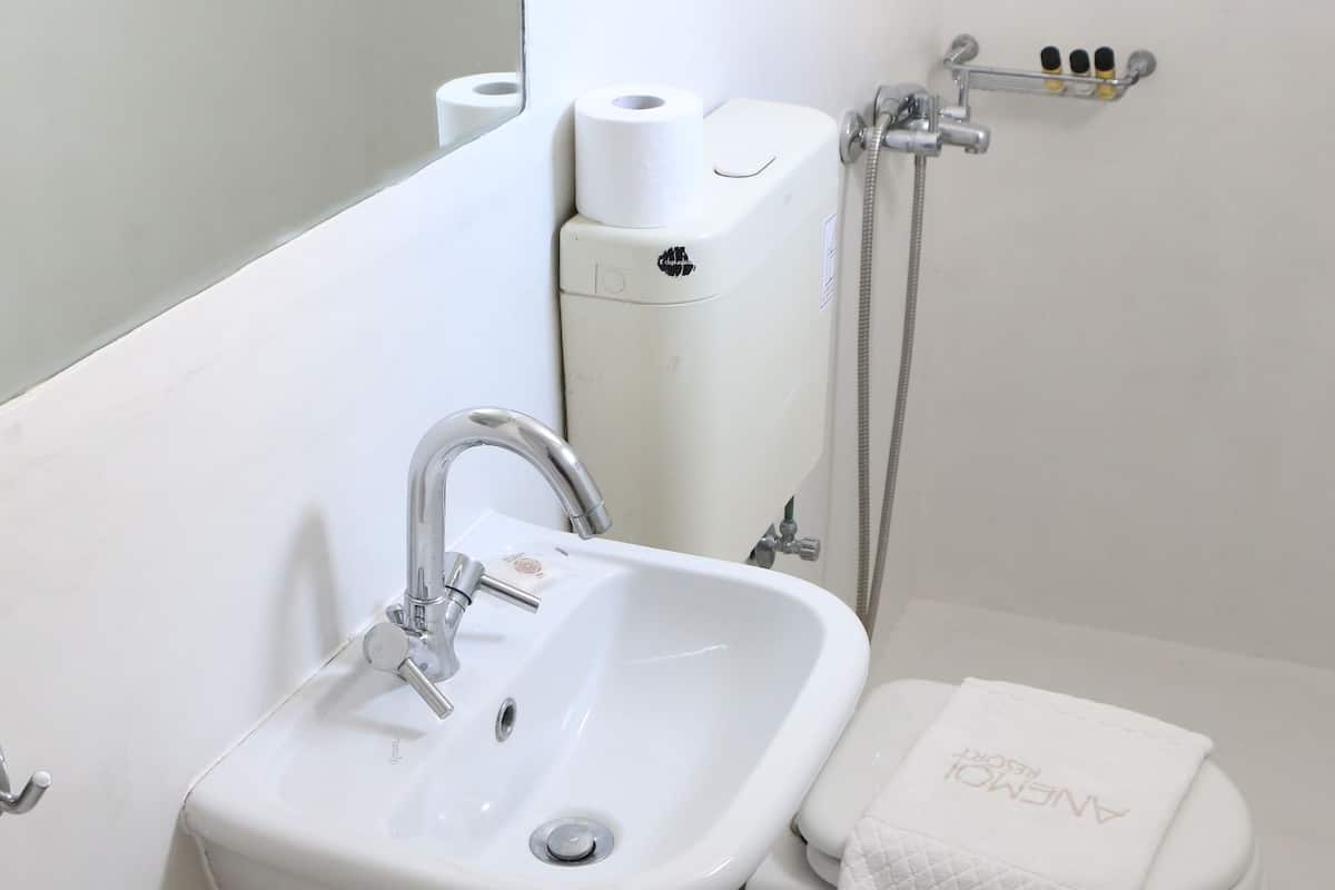 executive suite | bathroom | shower, rainfall showerhead, free toiletries, hair dryer