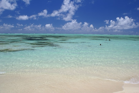 靠近海滩. 奥贝吉米柯酒店