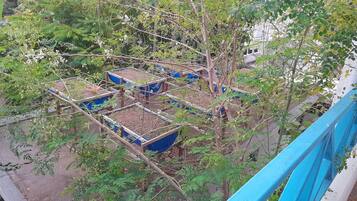 Un jardín en la azotea con jardineras elevadas y barandilla azul.