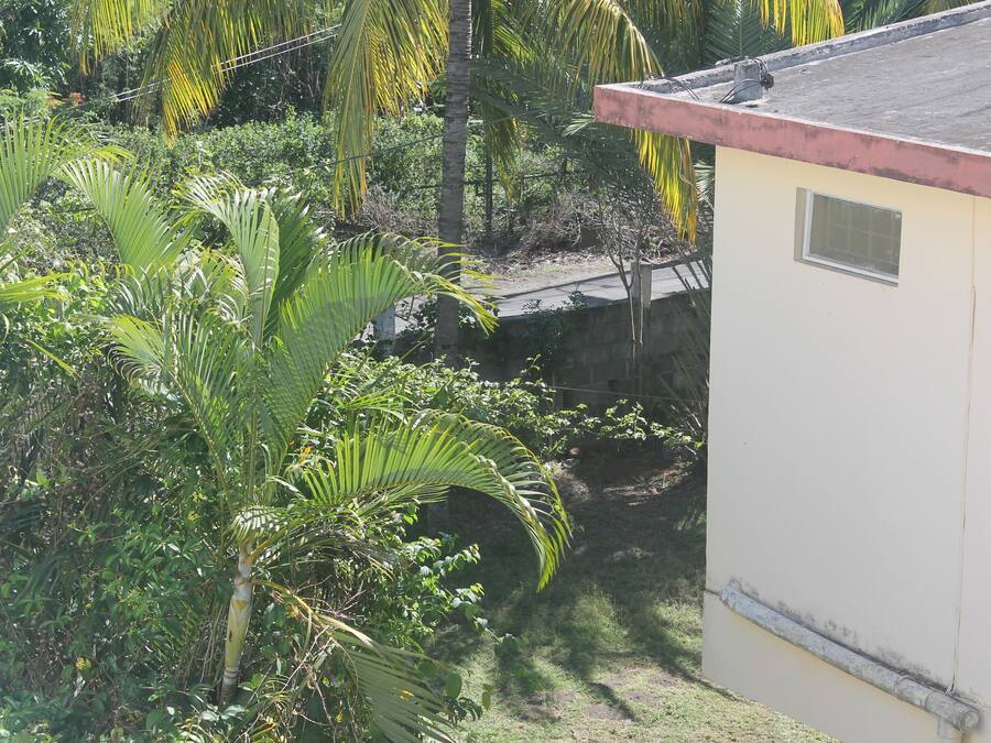 A small building with a red roof, surrounded by dense tropical vegetation.
