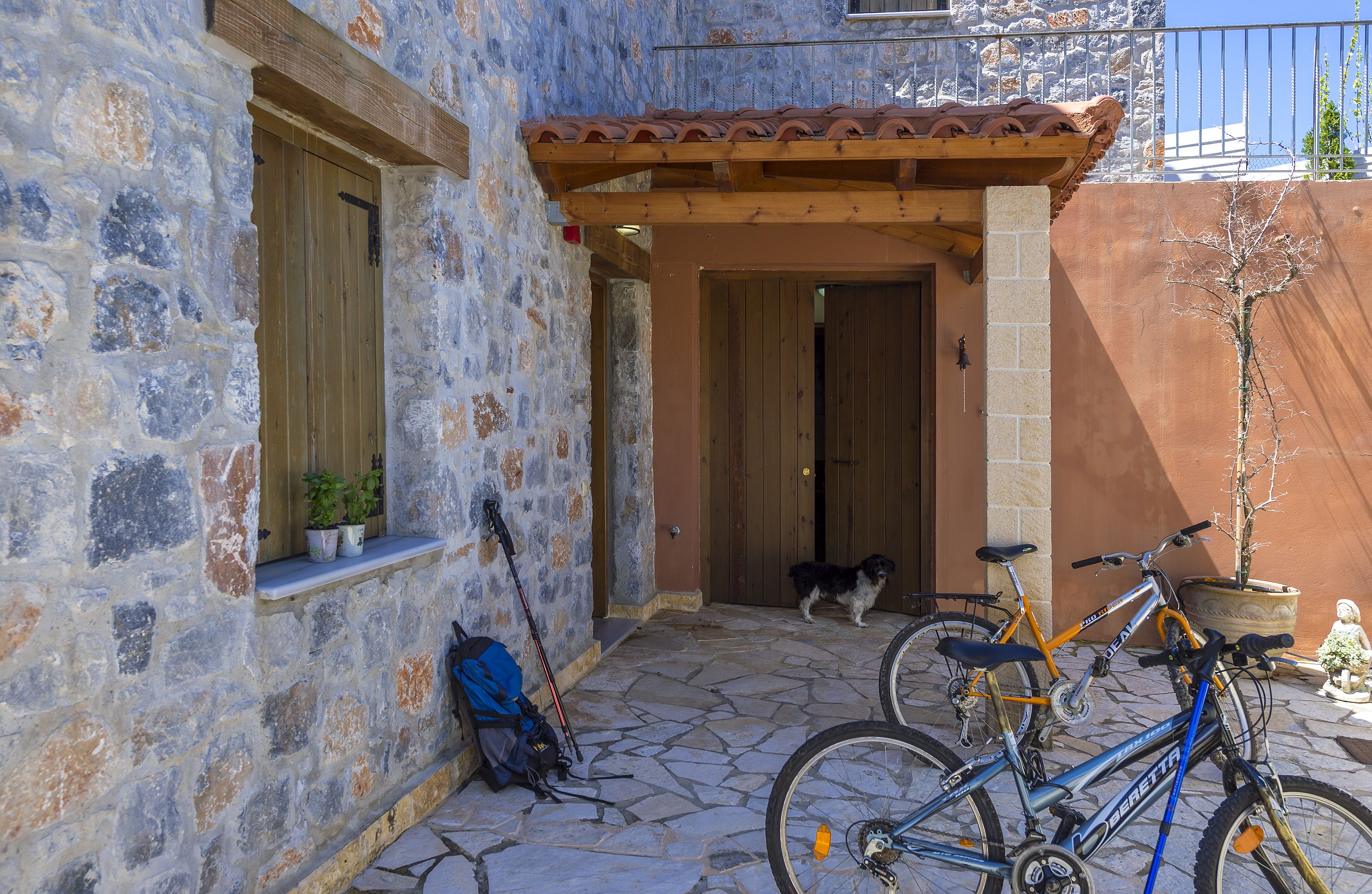 A stone building with a wooden door, a dog, and two bicycles parked outside.