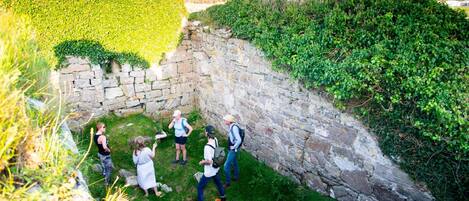 A stone wall with greenery on top, surrounded by grass and a few people.