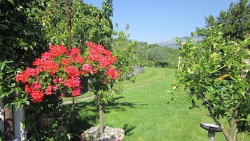 Jardín