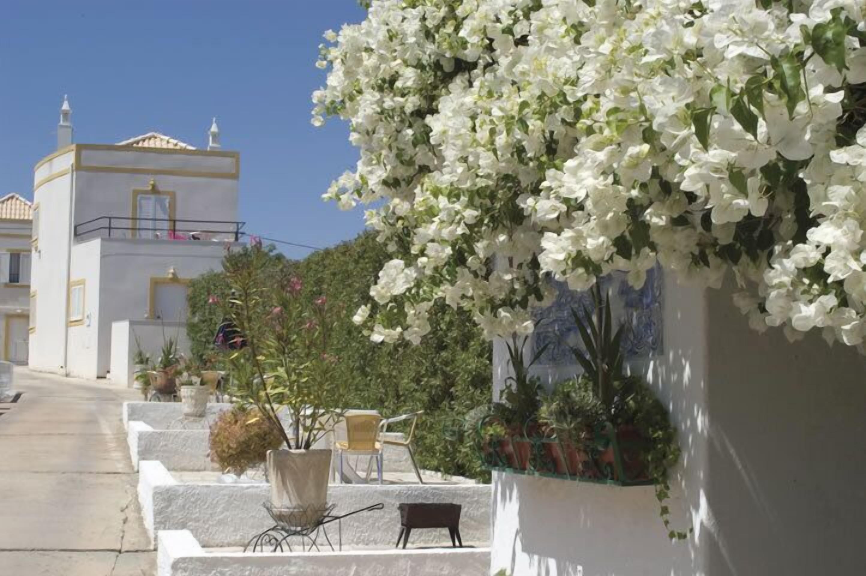 Photo - Monte dos Avós Village - Pet Friendly