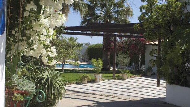 A covered outdoor area with a pool, surrounded by potted plants and a pergola. - Monte dos Avós Village - Pets Friendly (Tavira)