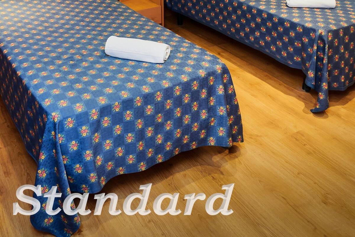 Double Room, 1 Double or 2 Twin Beds, Non Smoking | Hypo-allergenic bedding available, in-room safe, blackout drapes