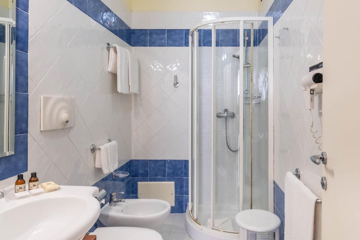 shower, hair dryer, bidet, towels