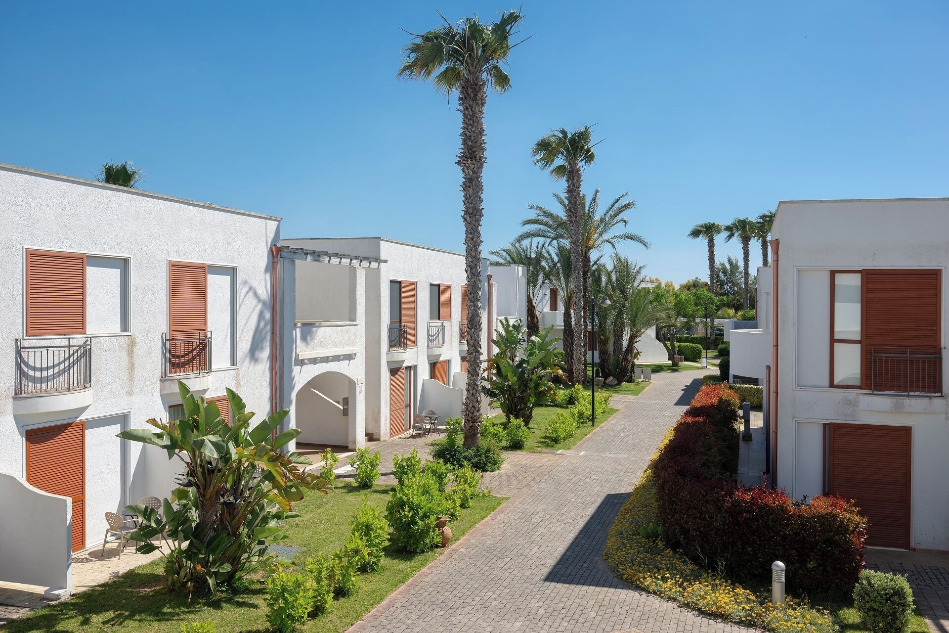 A pathway between white buildings with wooden shutters, surrounded by palm trees and well-maintained gardens.