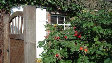 Detalle exterior