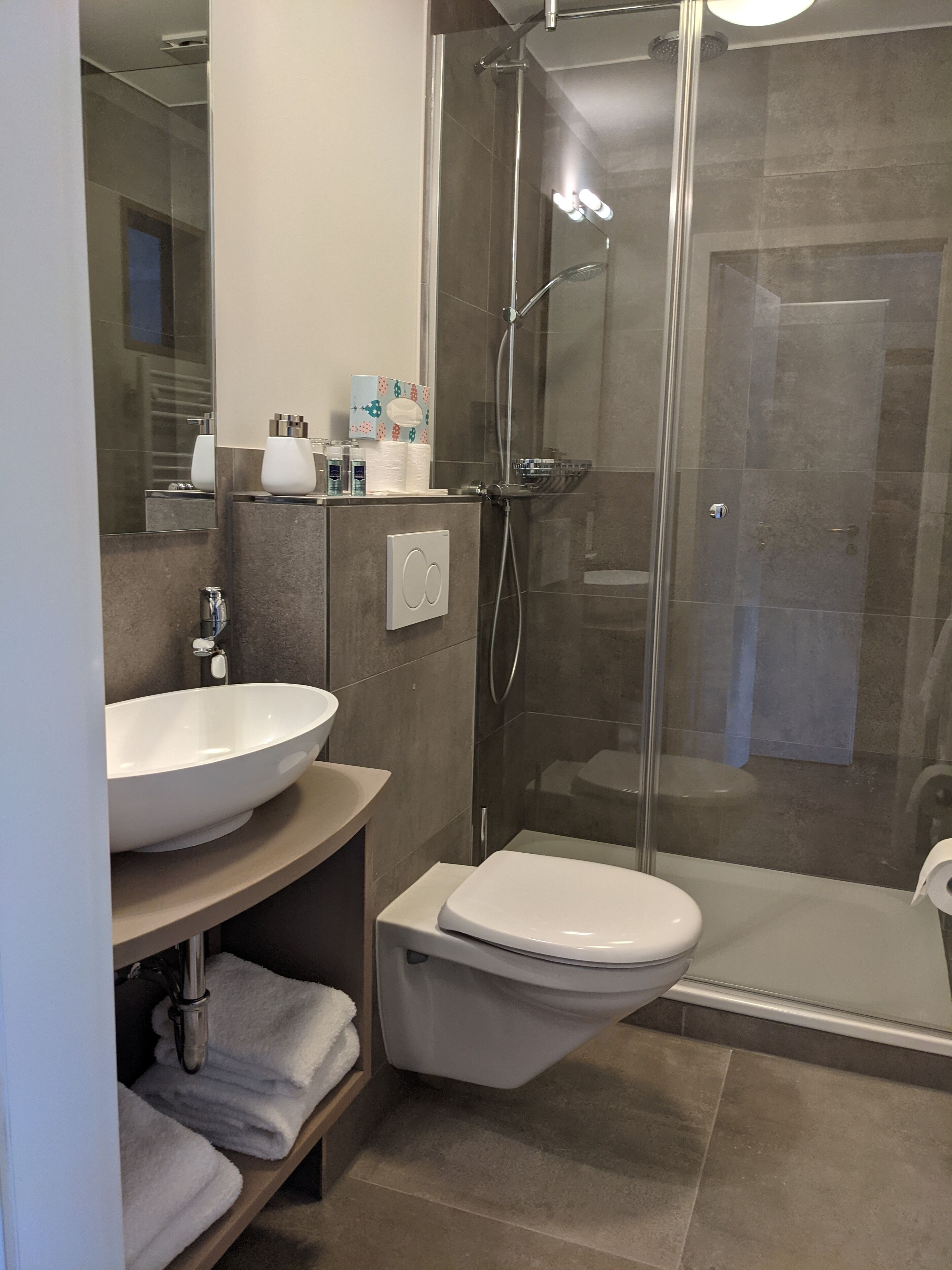 A modern bathroom with a large white sink, a toilet, and a glass-enclosed shower.
