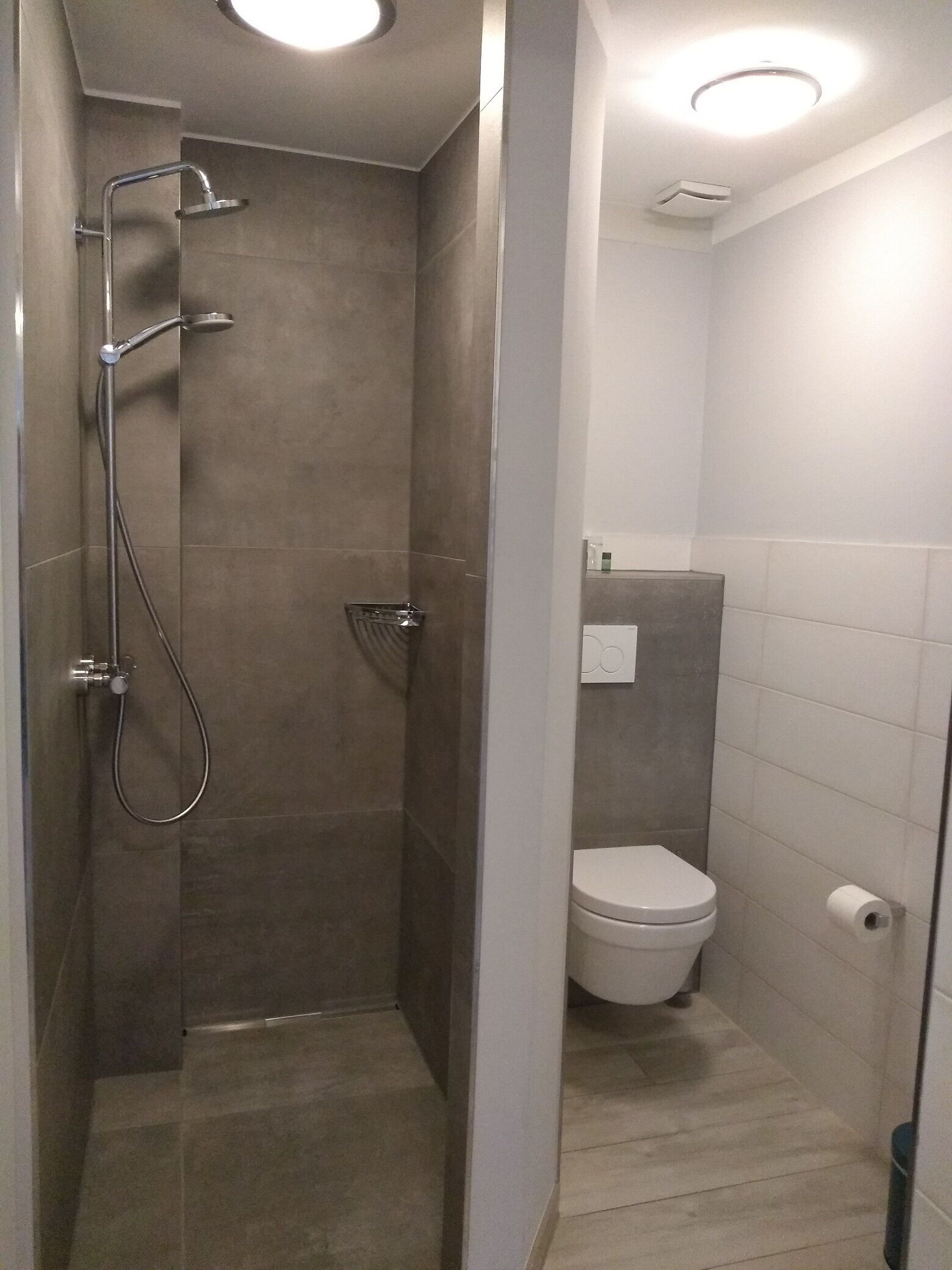 A modern bathroom with a walk-in shower, a toilet, and a sink.