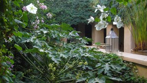 Un exuberante jardín con plantas de hojas grandes y flores blancas, un farol de cristal y una planta en maceta sobre un repisa.