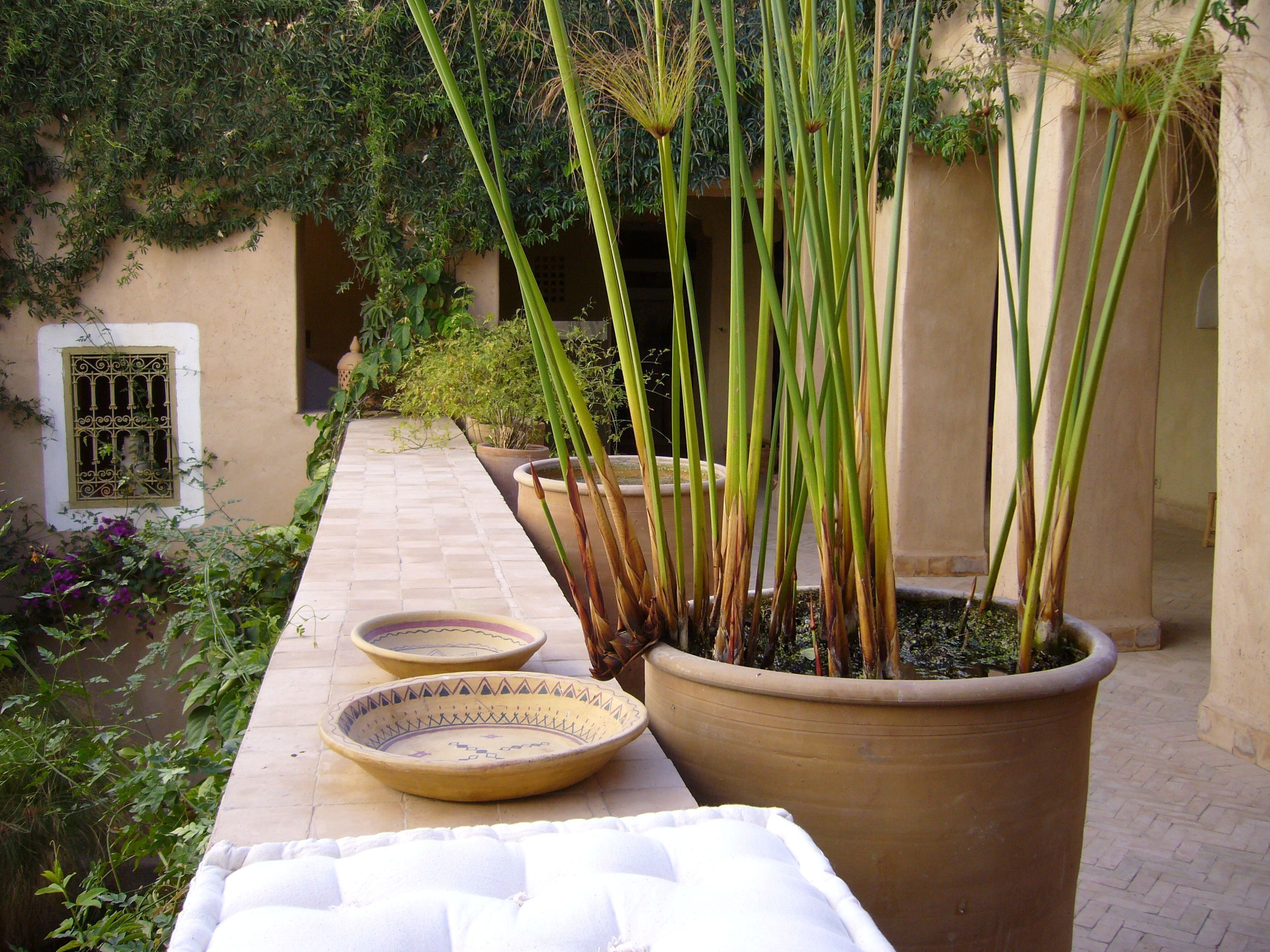 Un patio con una gran planta de bambú en maceta, suelo de baldosas y un cuenco decorativo.