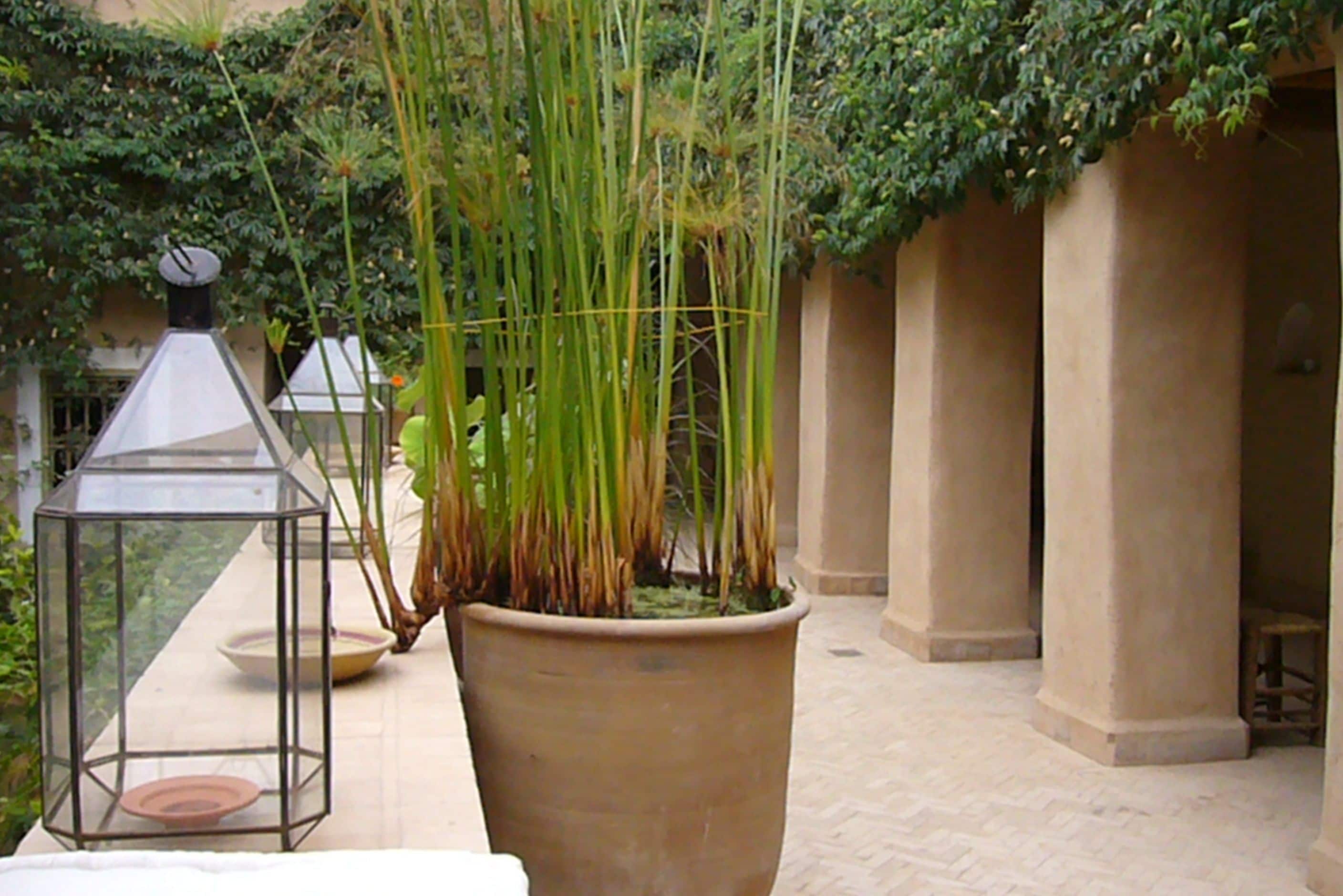 A potted plant, a glass lantern, and a tiled floor in a courtyard.