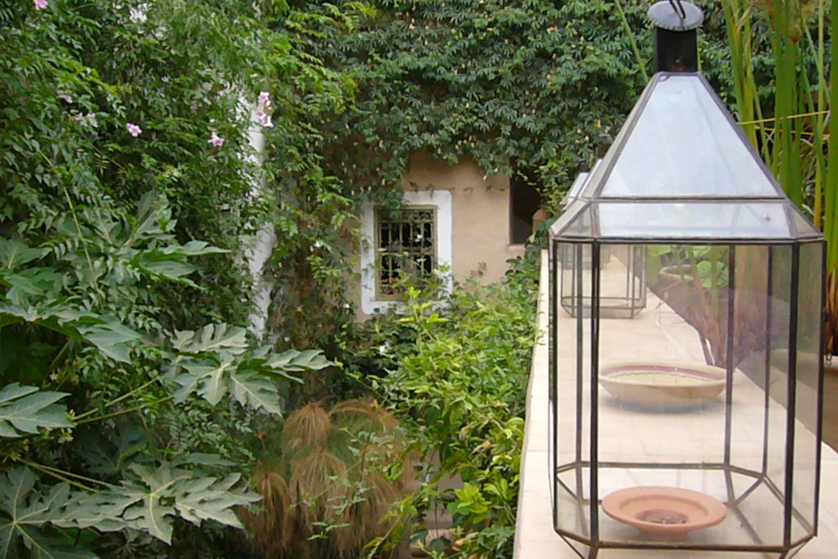 A glass lantern in a lush garden with a small building in the background.