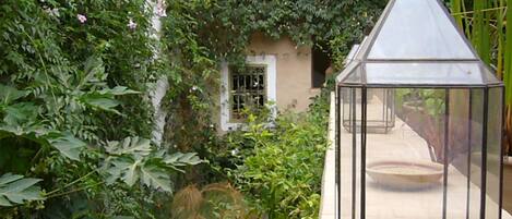 A glass lantern in a lush garden with a small building in the background.