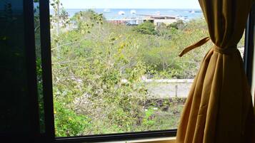 Studio, 1 King Bed with Sofa bed