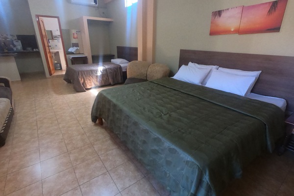 Studio, 1 King Bed with Sofa bed | Premium bedding, down comforters, in-room safe, individually decorated