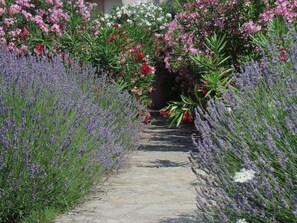 Vue depuis l’hébergement 