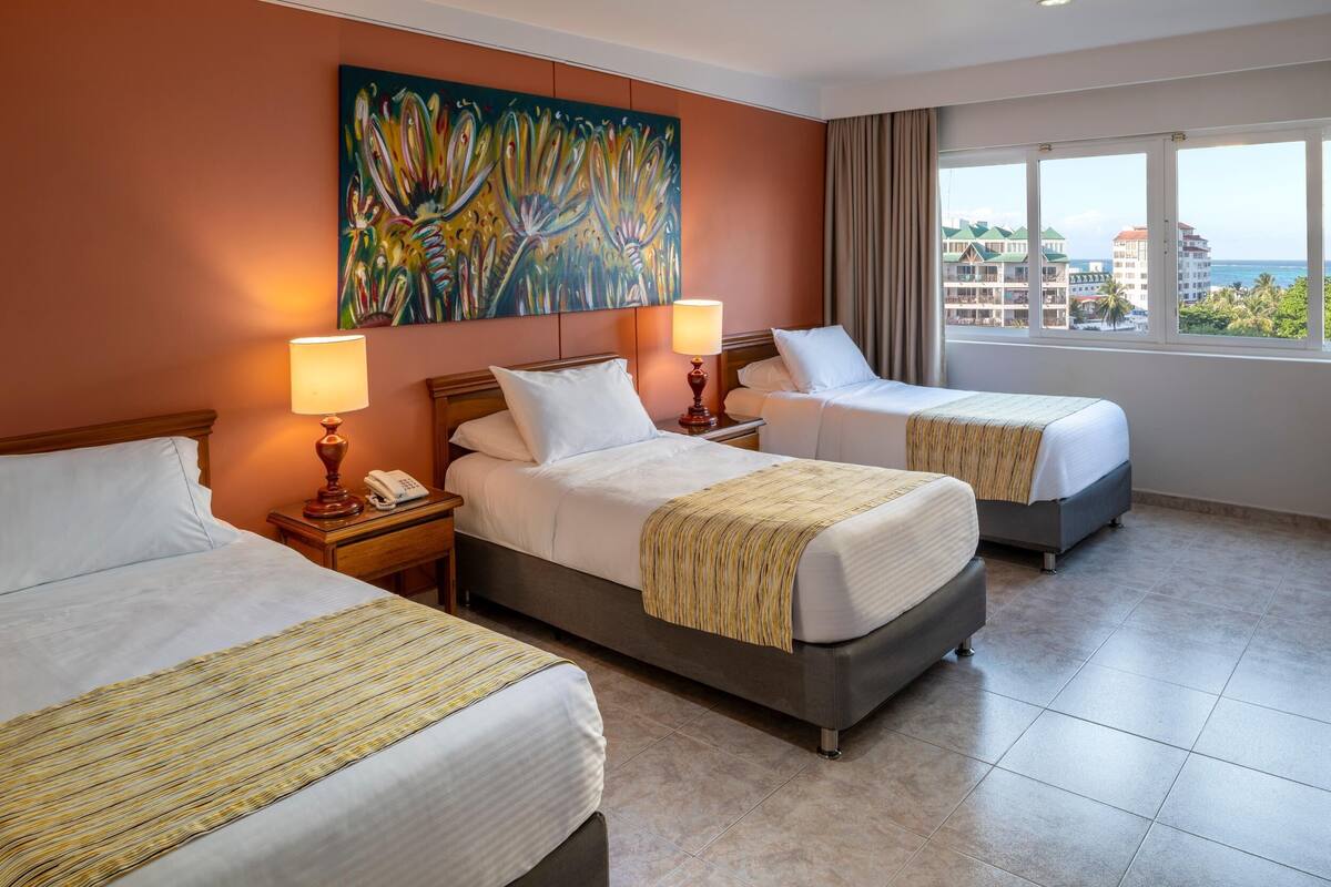 Premium bedding, down comforters, in-room safe, desk