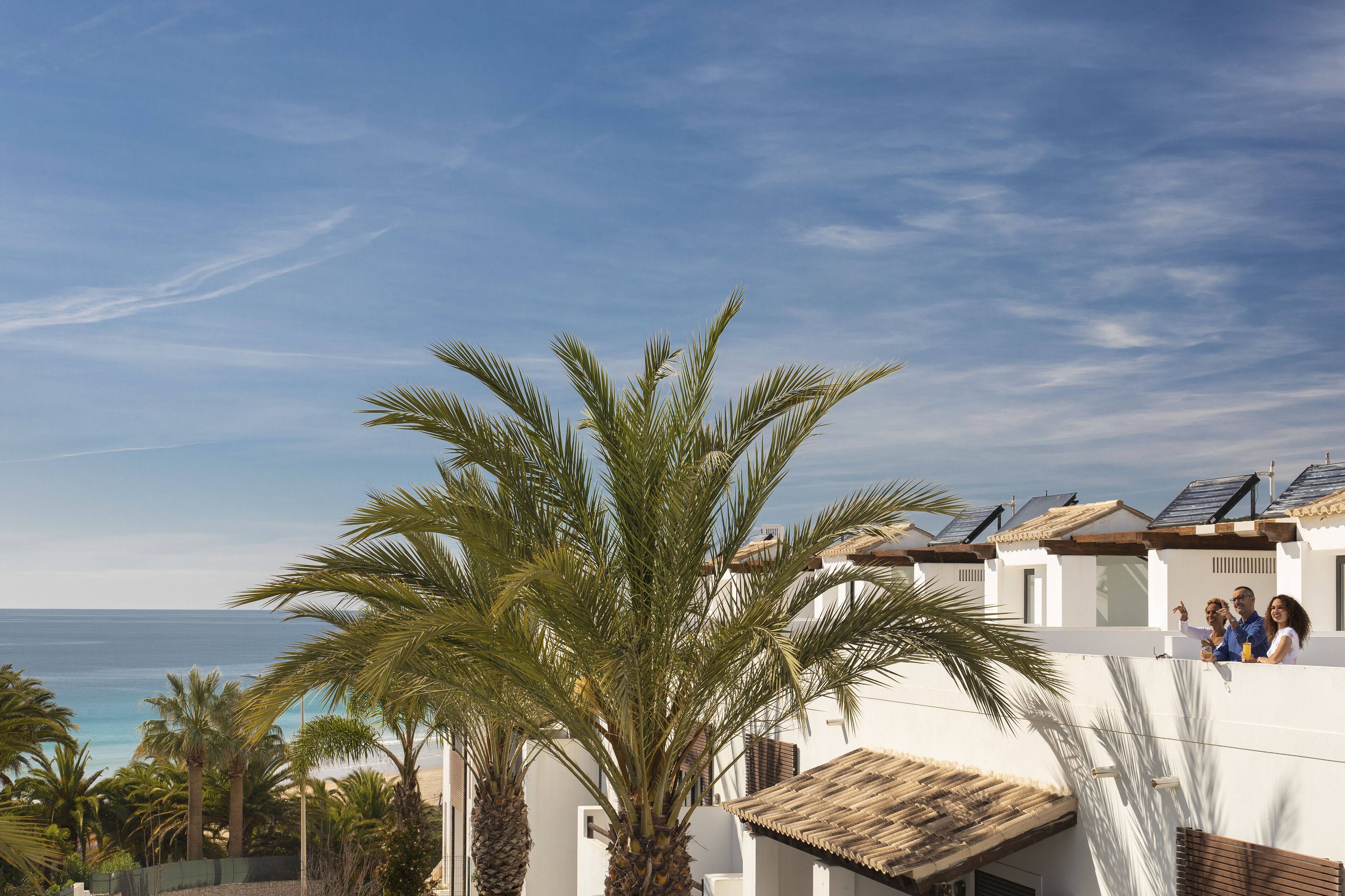 A coastal property with a view of the sea, palm trees, and a building with a tiled roof.
