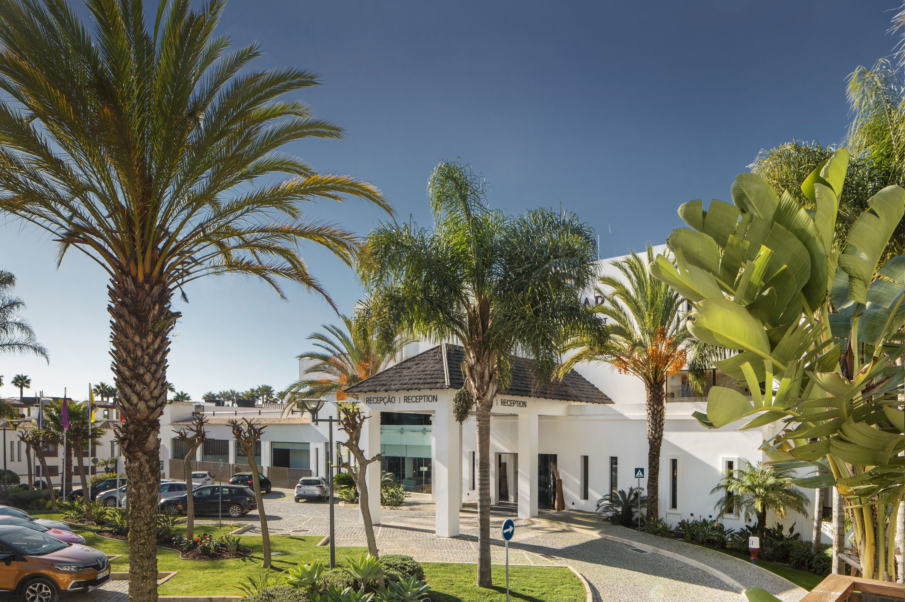 A reception area with palm trees, a white building, and parked cars.
