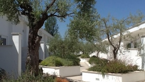 Un patio con edificios blancos, árboles y jardineras ajardinadas.