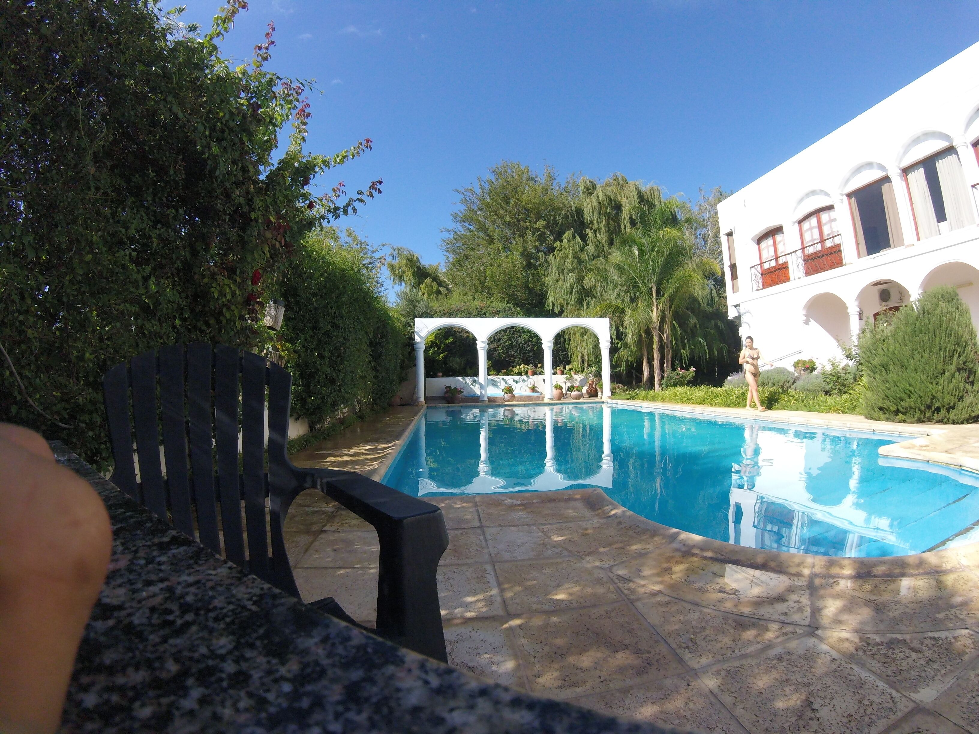 En swimmingpool med en hvid bygning i baggrunden, omgivet af grøn bevoksning.