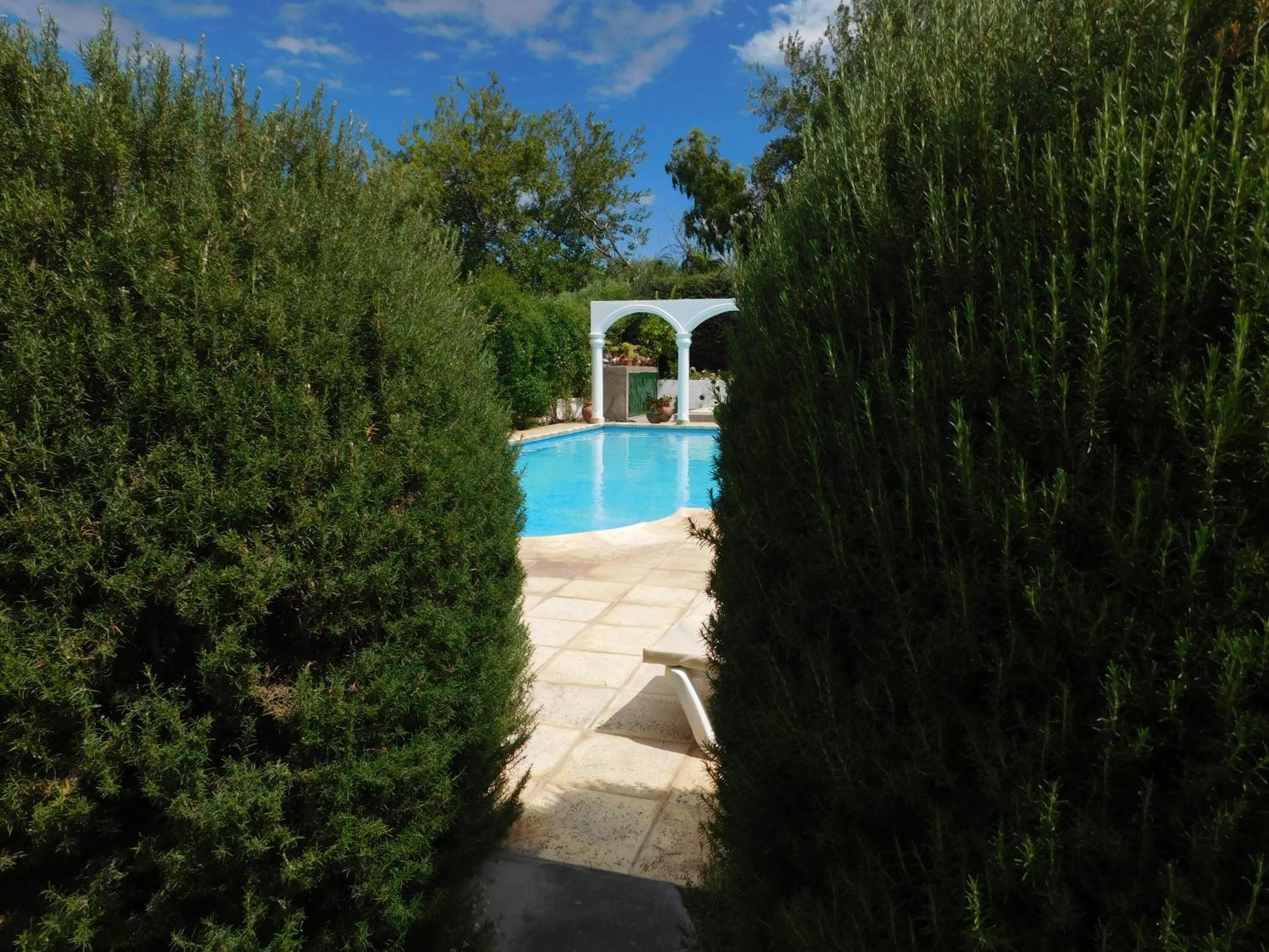 En swimmingpool omgiven av frodig grönska, med en vit pergola i bakgrunden.