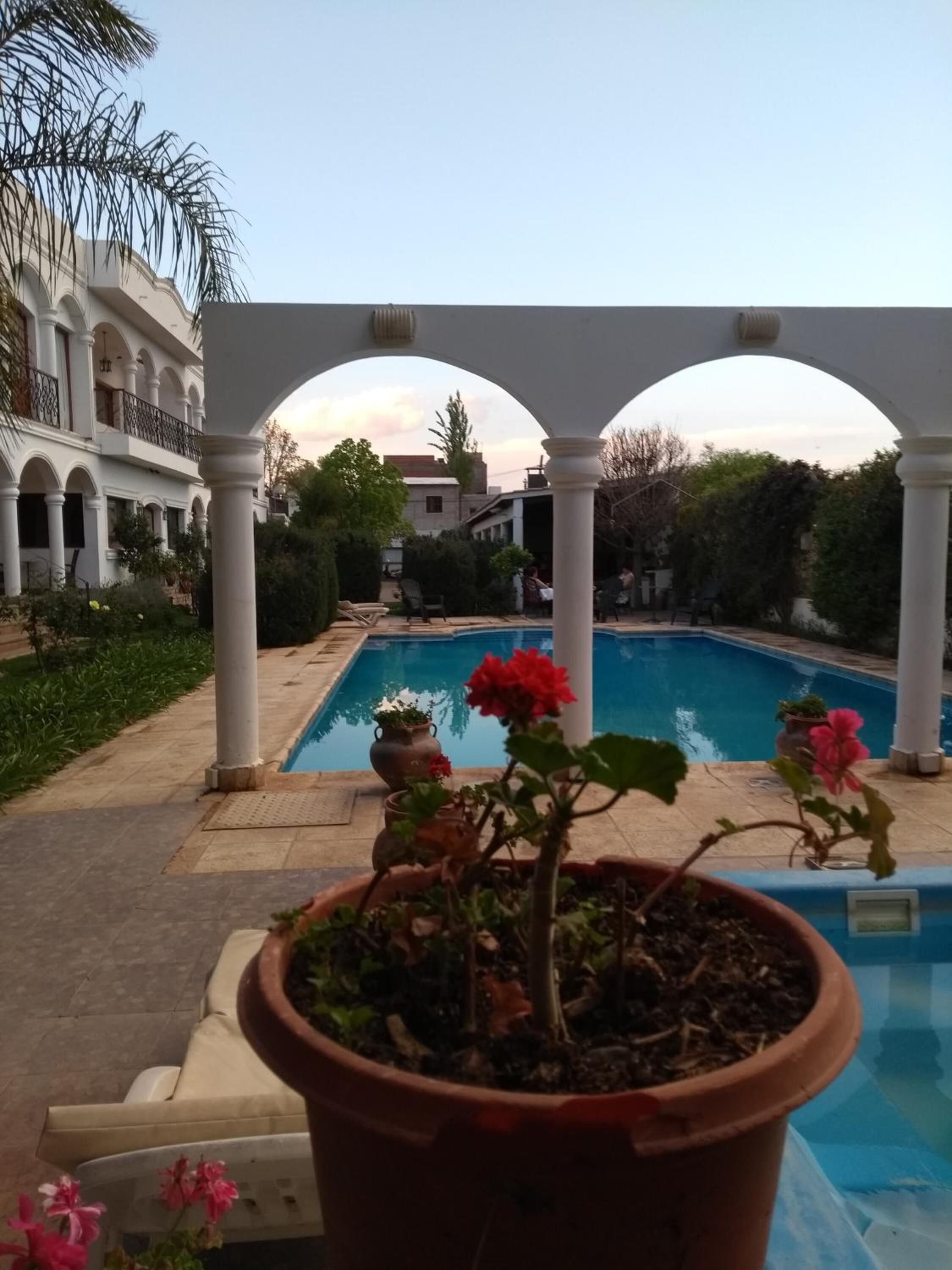 outdoor pool, pool loungers