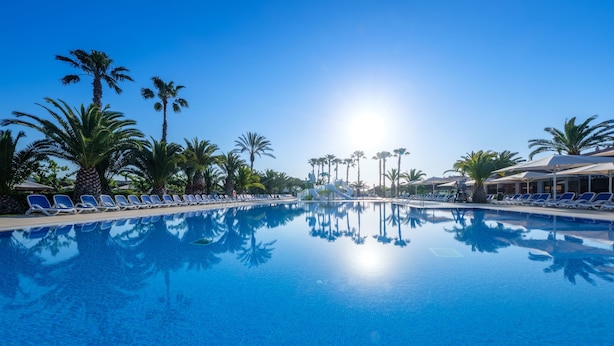 Une piscine d’un bleu éclatant, avec des chaises longues et des palmiers.