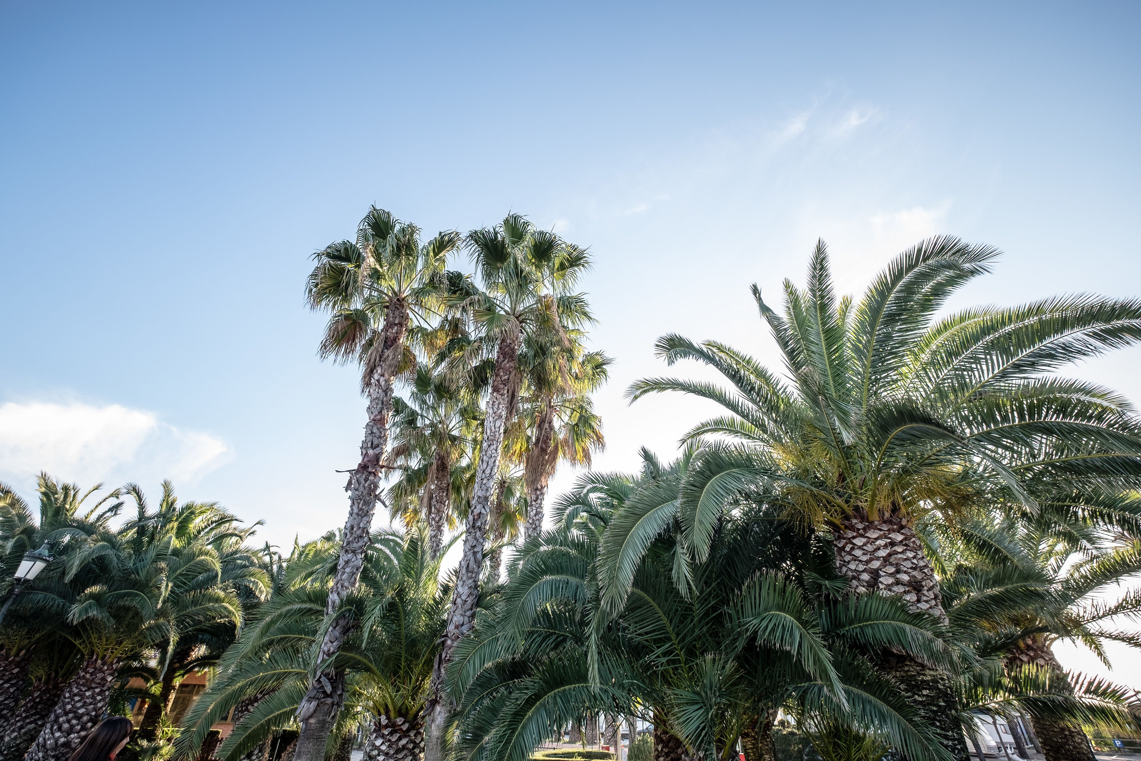 Foto - Camping Estival Vendrell Platja