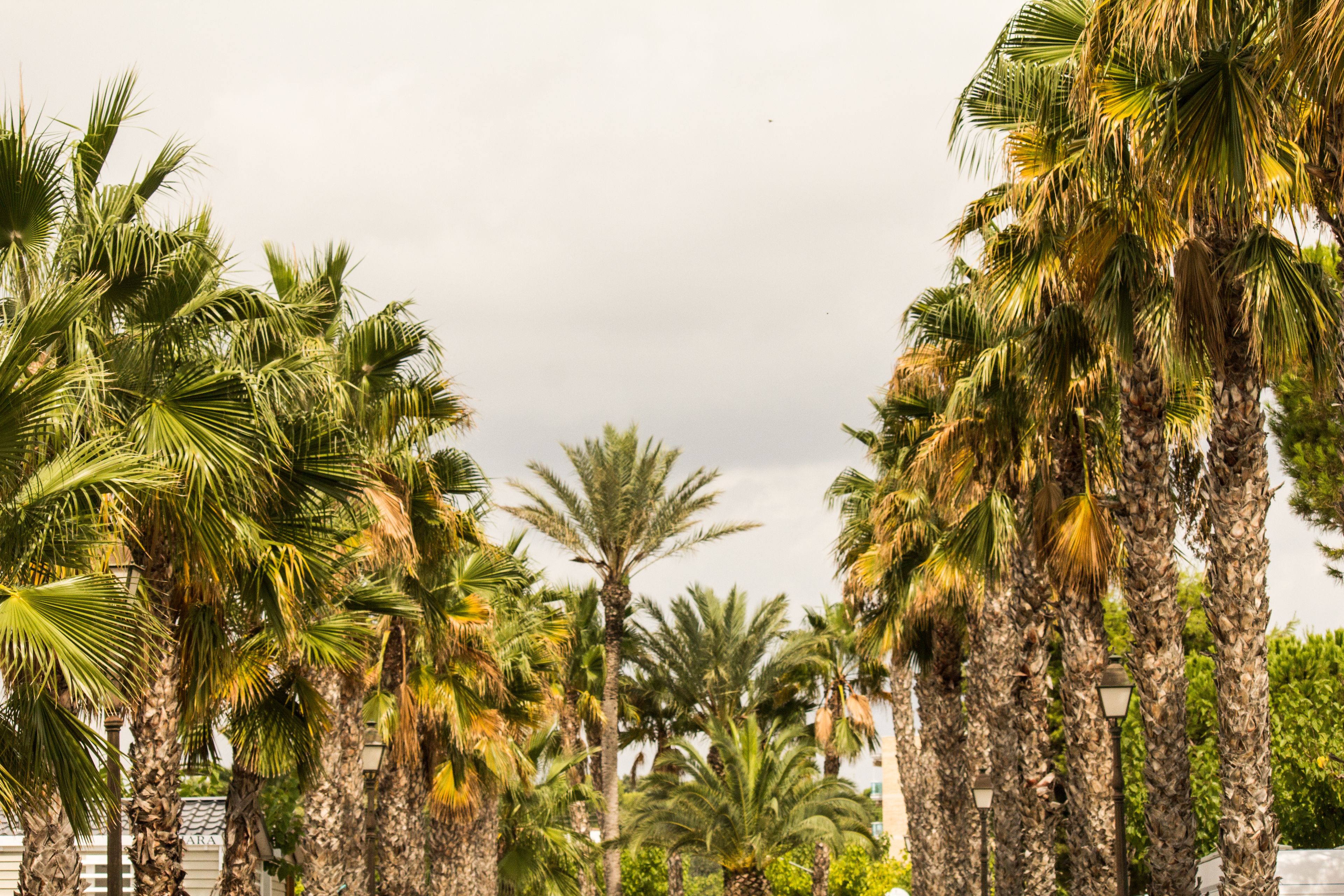 Foto - Camping Estival Vendrell Platja