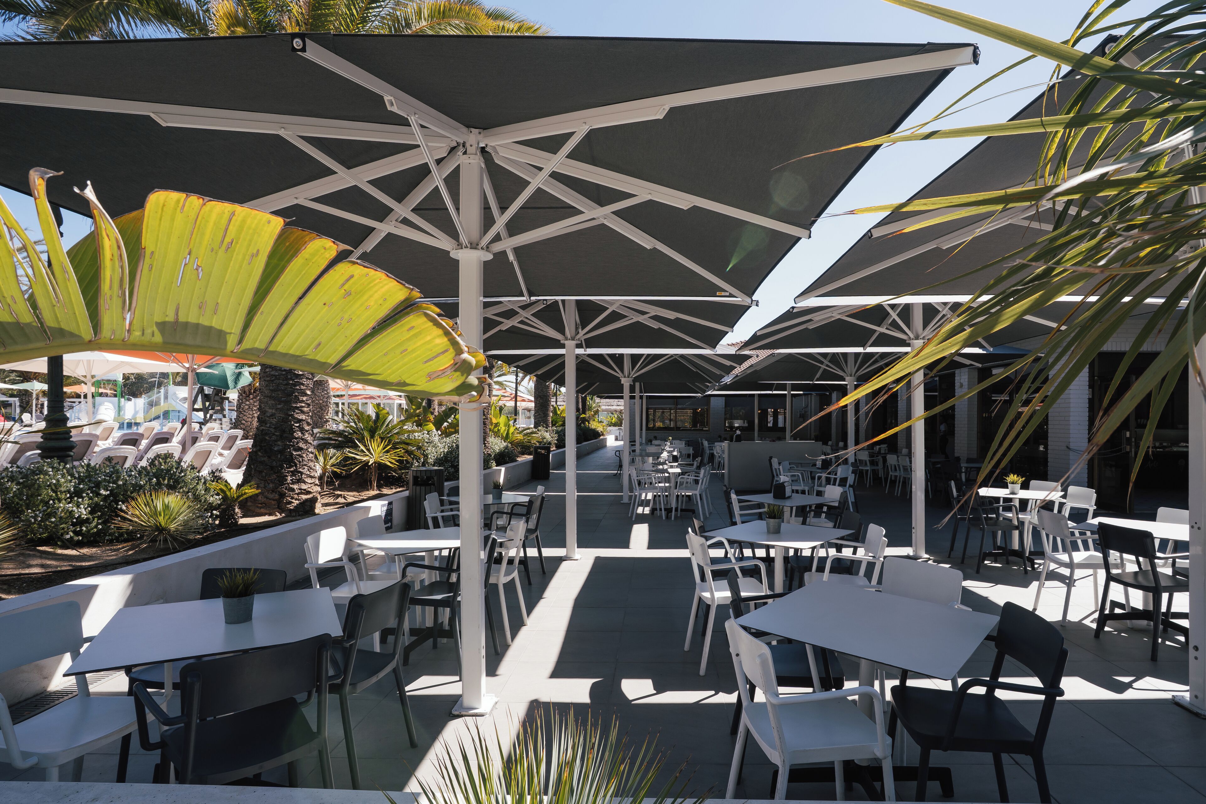 Een terras buiten met witte tafels en stoelen, beschaduwd door grote parasols, omringd door planten.