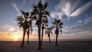Une plage bordée de palmiers, avec un coucher de soleil.
