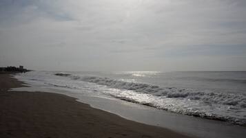 Una playa con olas que acarician suavemente la orilla.