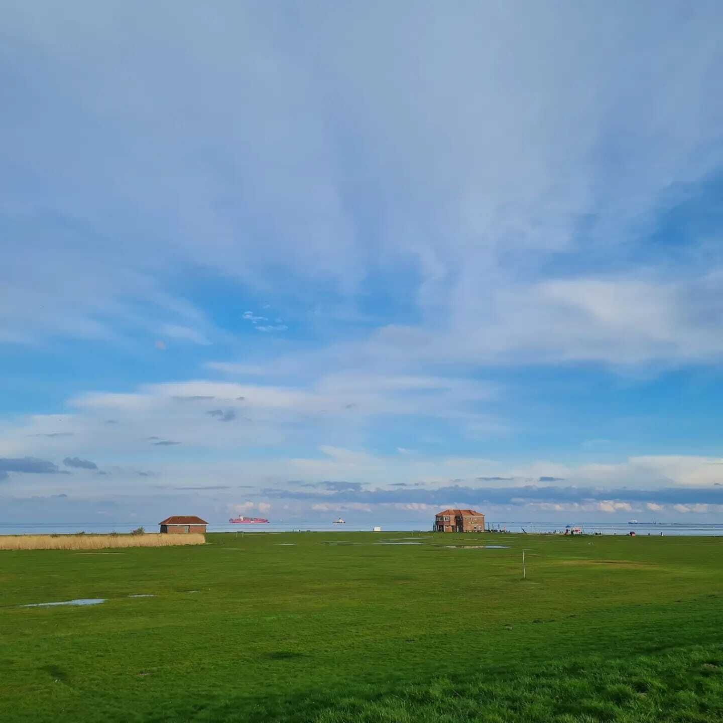 A grassy field with two buildings, one with a red roof and another with a brown roof, under a clear sky.