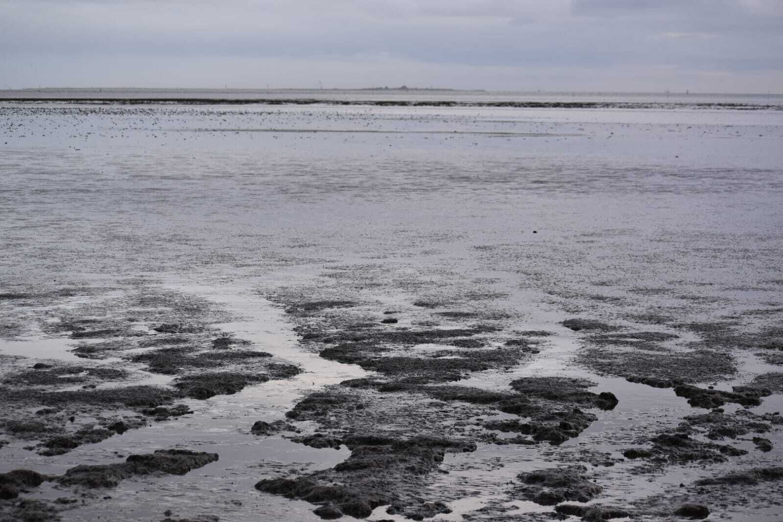 A beach with wet sand and scattered rocks.