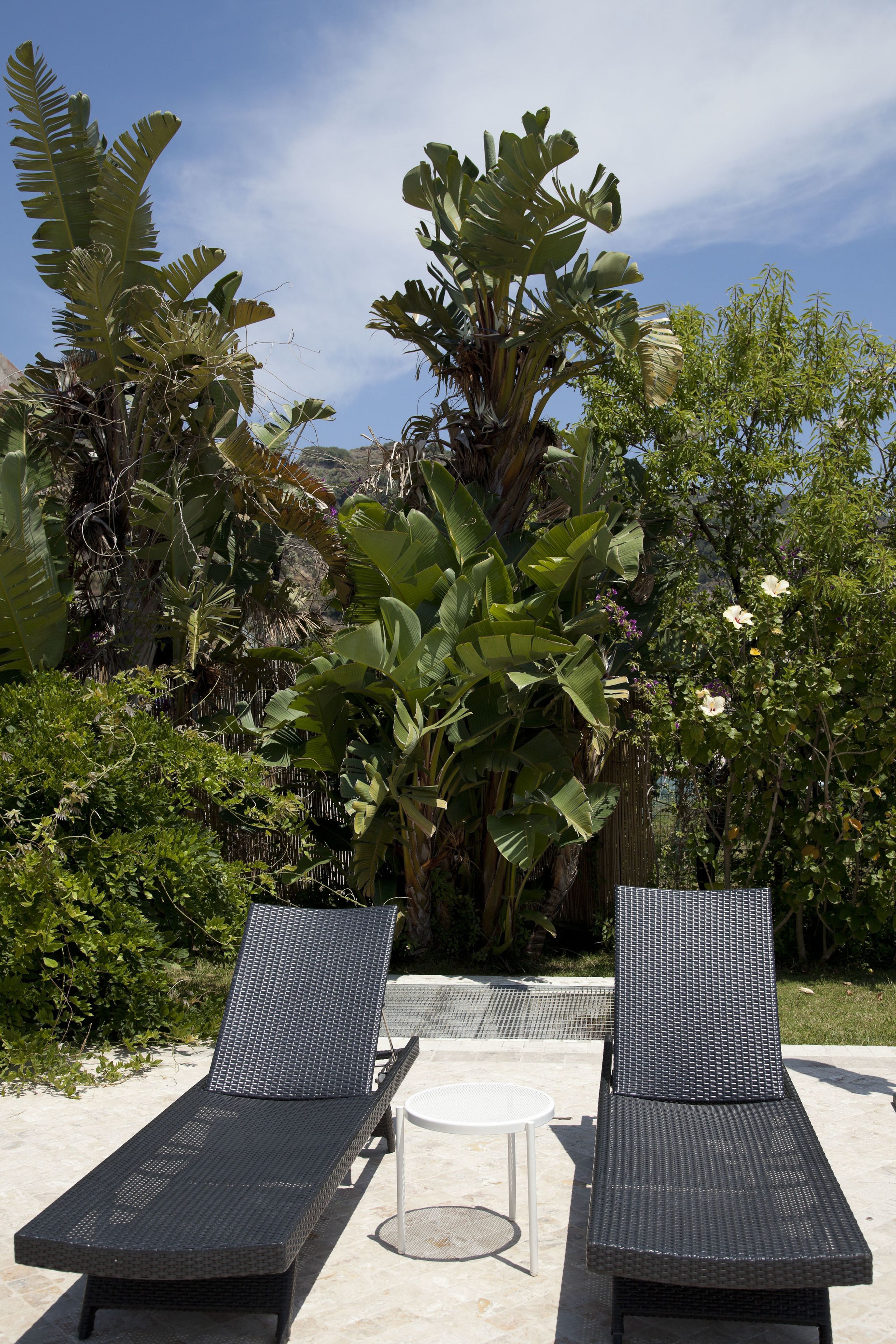 Dos sillones de descanso con una mesita baja, rodeados de exuberante follaje y plantas de banano.