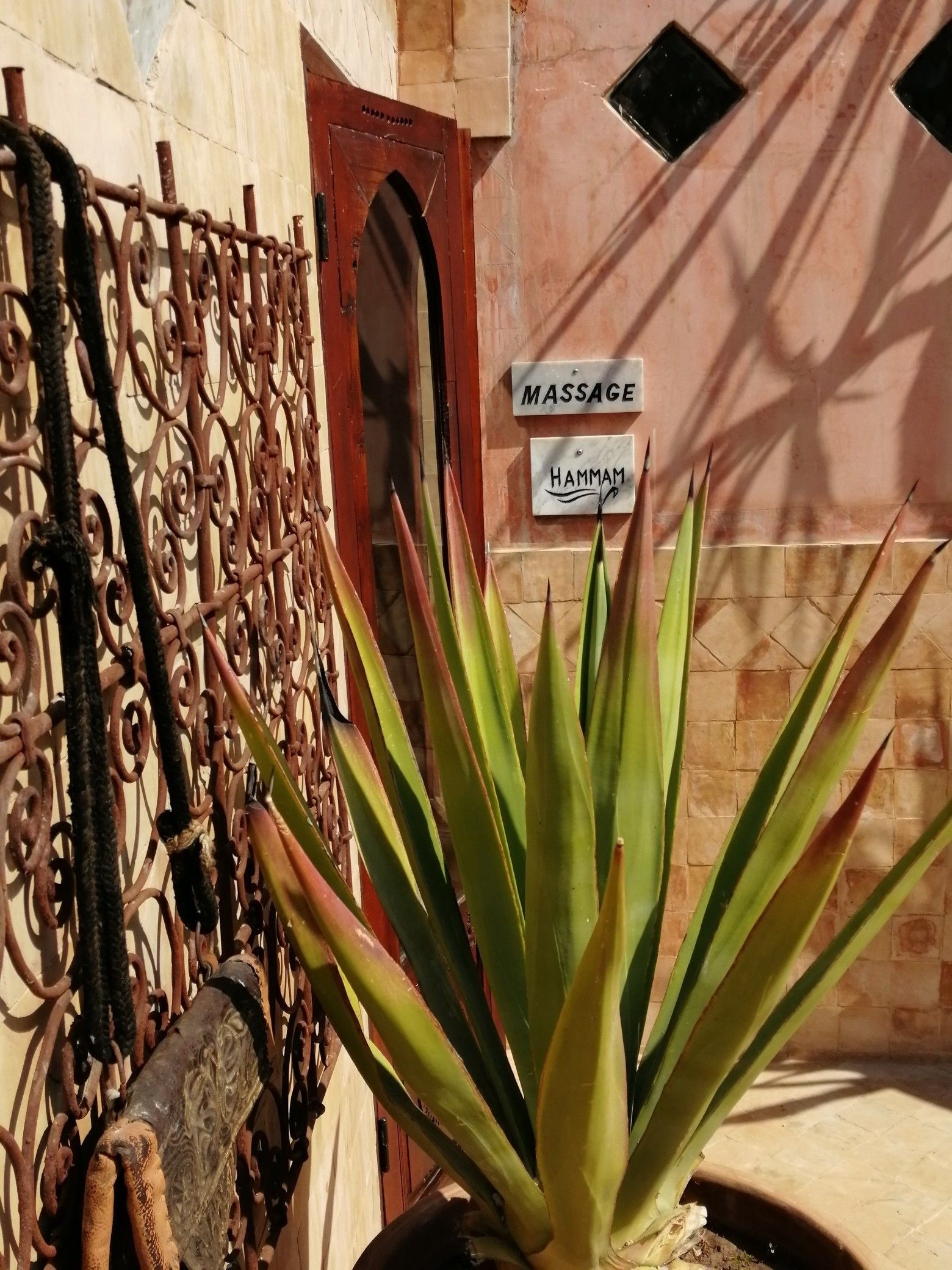 A potted agave plant in front of a building with a metal gate and a door labeled 'MASSAGE' and 'HAMMAM'.