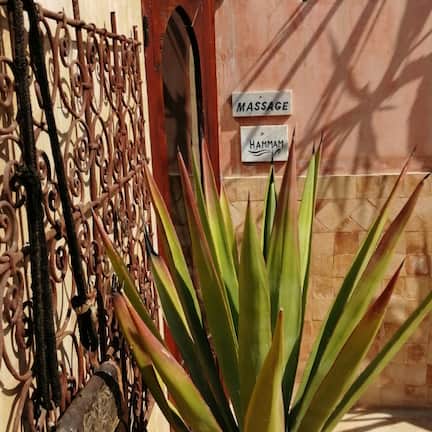 A potted agave plant in front of a building with a metal gate and a door labeled 'MASSAGE' and 'HAMMAM'.