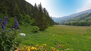 Blick von der Unterkunft