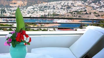 Leilighet – standard, terrasse | Balkong