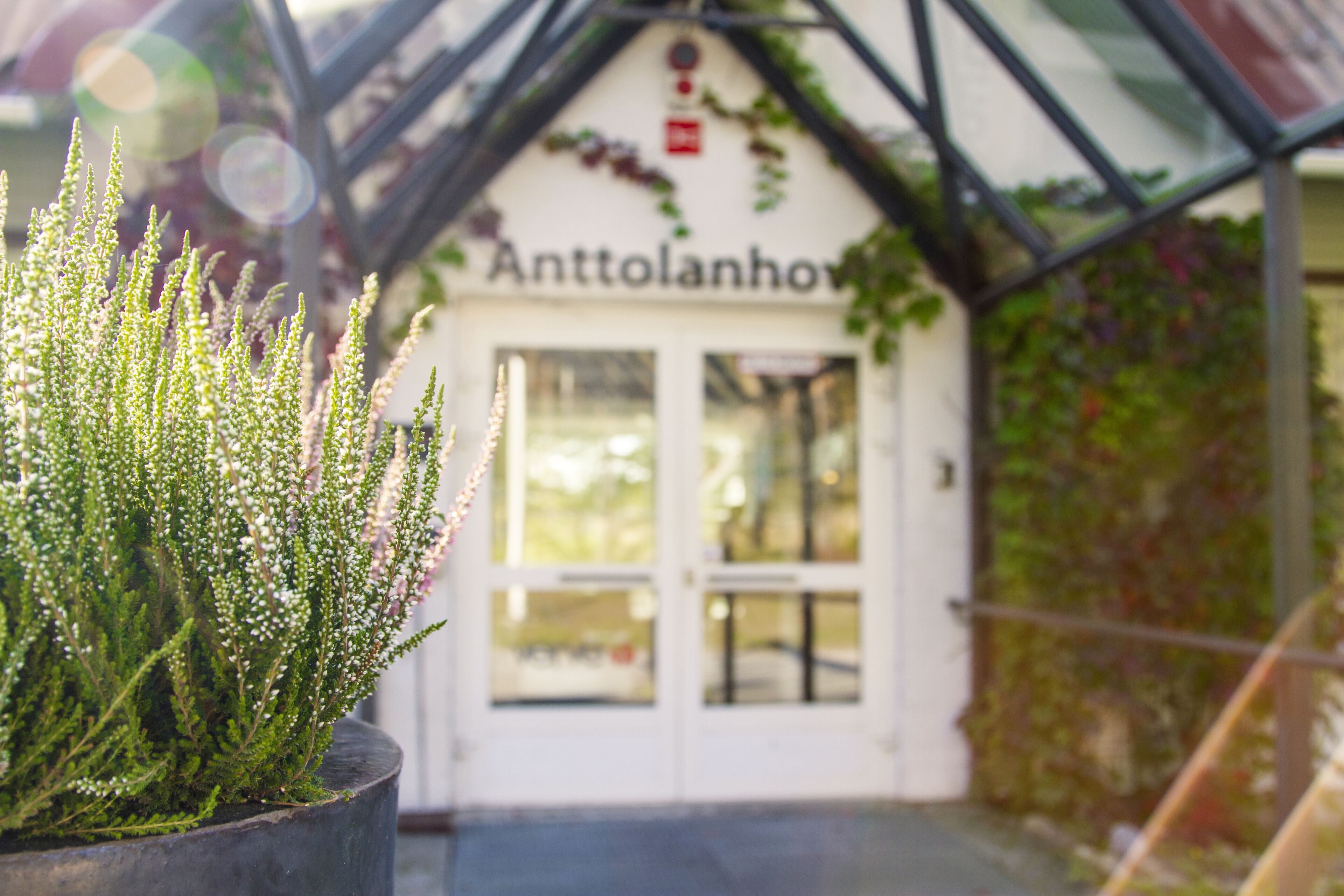 A building with a sign reading "Anttolanhovu" and a potted plant in the foreground.