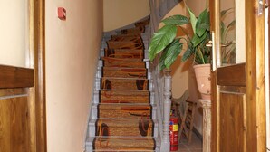 Una escalera de madera con barandilla, una planta en maceta y un extintor.